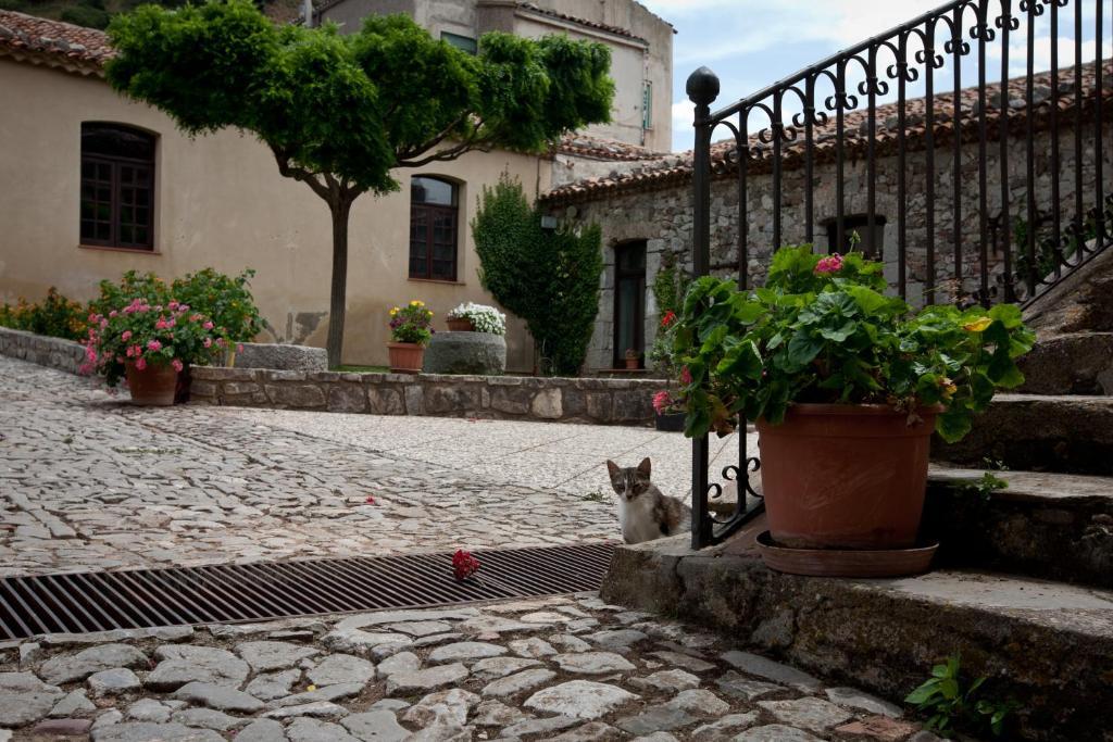 Il Vecchio Frantoio Vila Scillato  Exterior foto