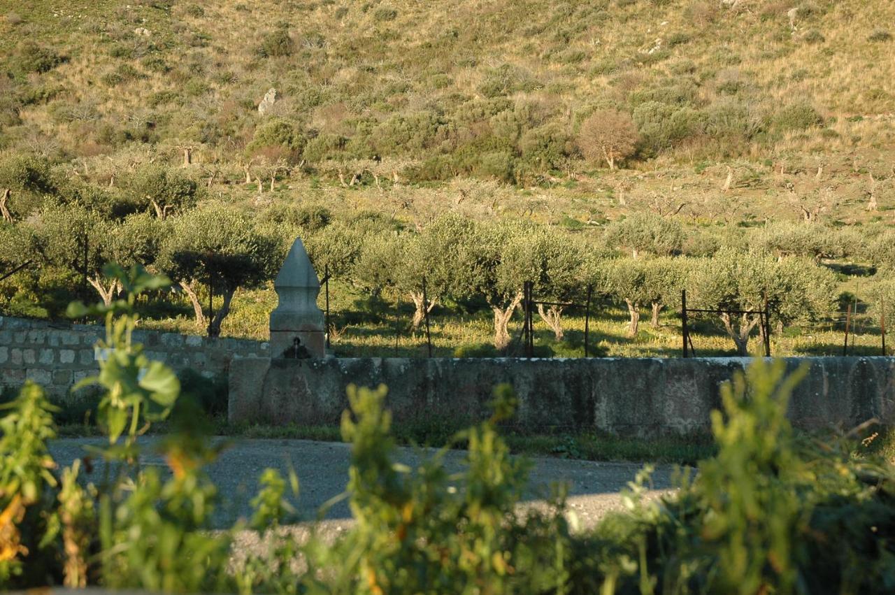 Il Vecchio Frantoio Vila Scillato  Exterior foto